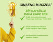 ginseng-ana-kapak
