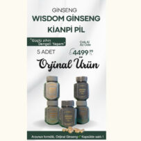 GINSENG KIANPI PIL 5 PAKET 61x5=305 KAPSÜL
