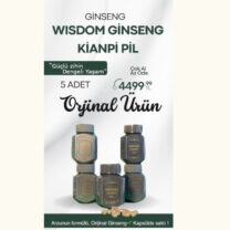 GINSENG KIANPI PIL 5 PAKET 61×5=305 KAPSÜL